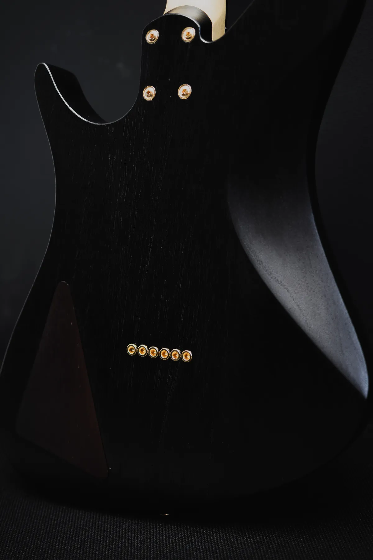 The back of the body